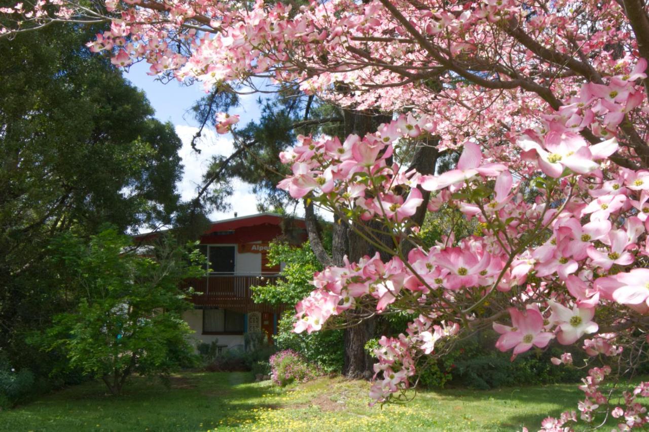 Alpenhorn Holiday Units Mount Beauty Bagian luar foto